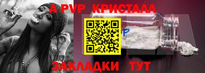 ECSTASY Новозыбков
