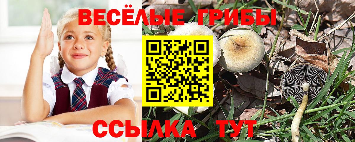 Псилоцибиновые грибы MAGIC MUSHROOMS Бугуруслан