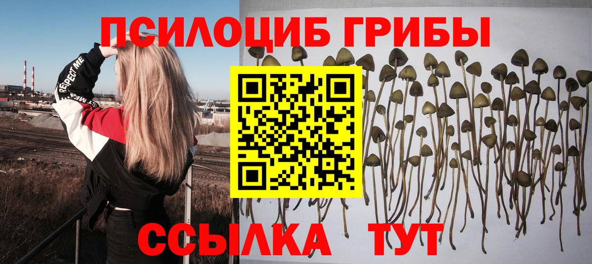 Псилоцибиновые грибы Psilocybine cubensis  Вход с VPN  Бугуруслан 